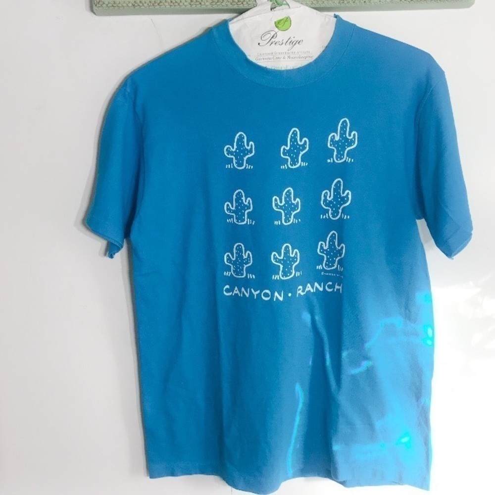 Vintage Canyon Ranch Wellness Single Stitch t T-shirt graphic crewneck tee blue